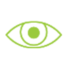 Icon-monitoring